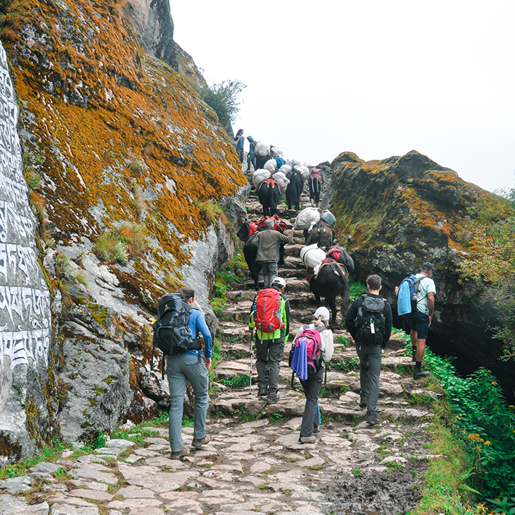 Trekking in Khumbu Region