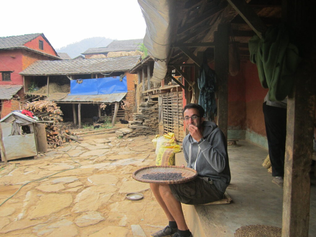A traveler experiences everyday village life in Aathrai, eastern Nepal, while tasting freshly harvested peppercorns in a traditional farmhouse courtyard.